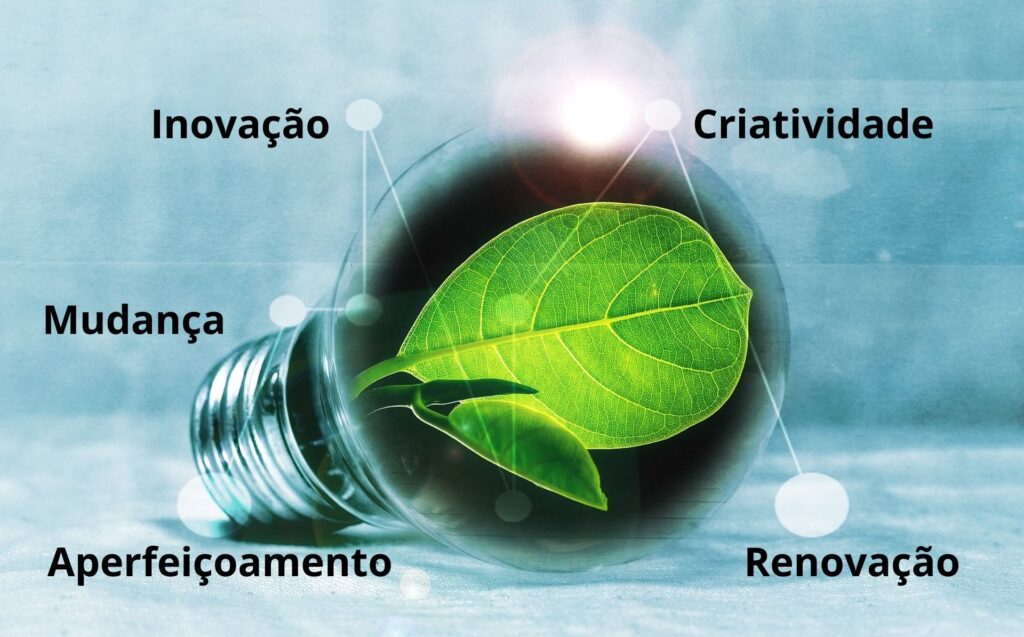 Inovação para micro e pequenas empresas