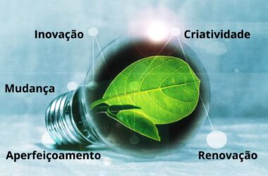 Inovação: O Motor do Sucesso nos Pequenos Negócios